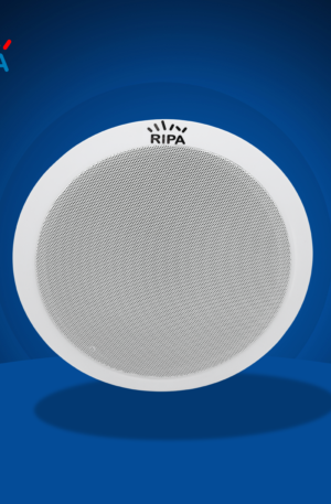 Speaker 01
