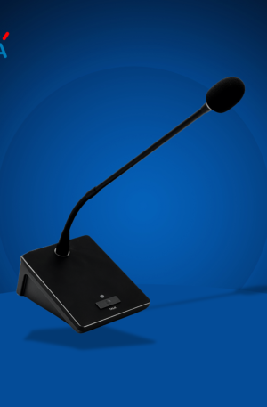 Speaker a31